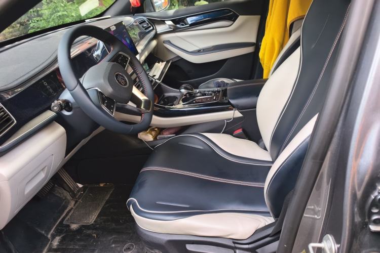 Used BYD Qin PLUS 2021 DM-i 120KM Prestige Model Left Front Seat