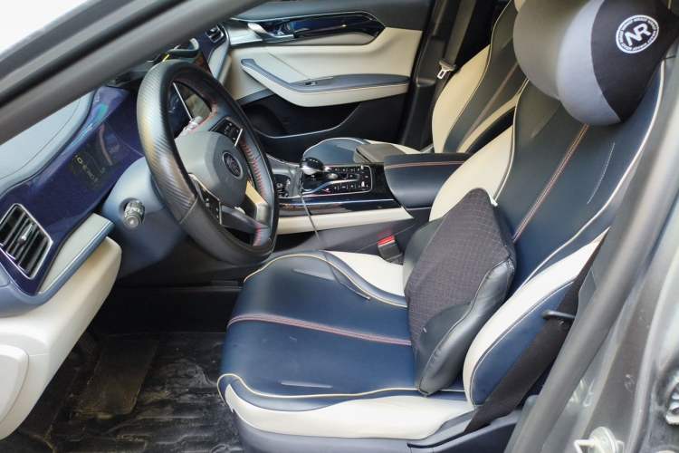 Used BYD Qin PLUS 2021 DM-i 55KM Flagship Model Left Front Seat