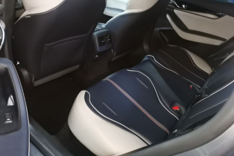 Used BYD Qin PLUS 2021 EV 500KM Premium Model Left Rear Seat