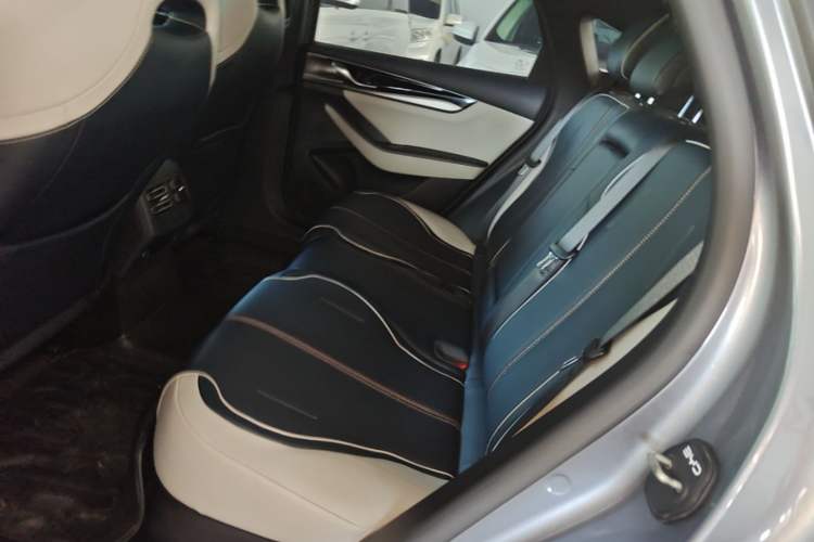 Used BYD Qin PLUS 2021 DM-i 55KM Flagship Model Left Rear Seat