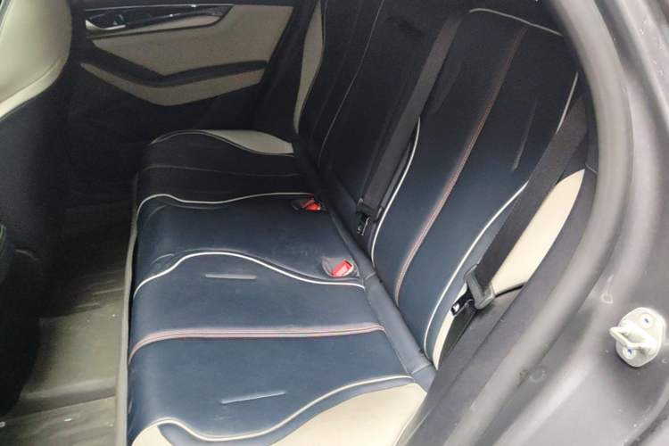 Used BYD Qin PLUS 2021 DM-i 55KM Flagship Model Left Rear Seat