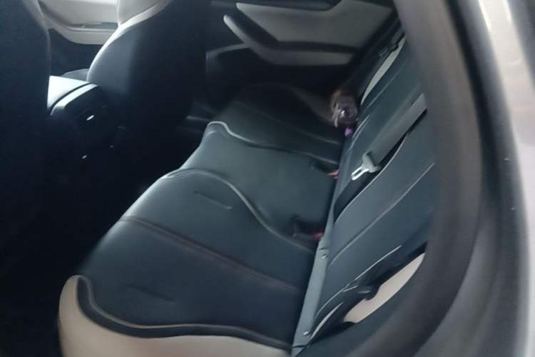 Used BYD Qin PLUS 2021 DM-i 55KM Flagship Model Left Rear Seat