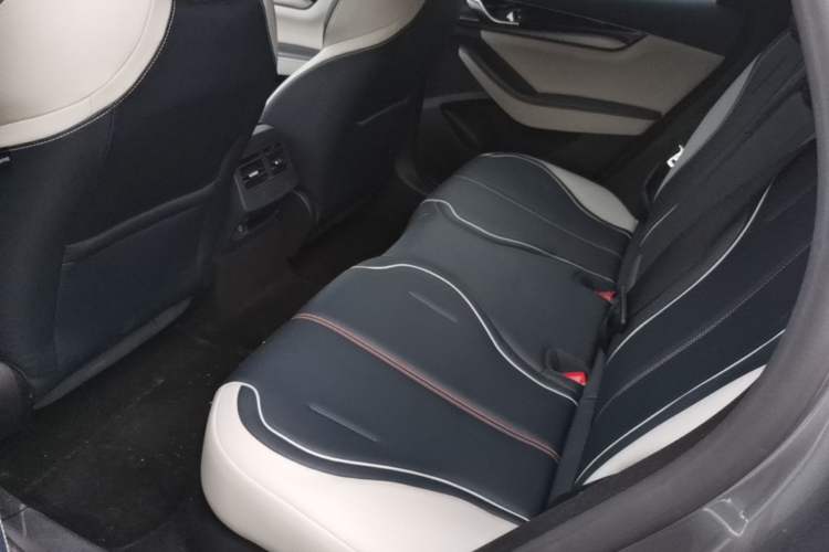 Used BYD Qin PLUS 2021 DM-i 55KM Flagship Model Left Rear Seat