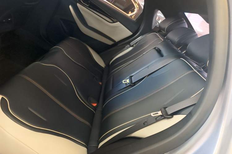 Used BYD Qin PLUS 2021 DM-i 55KM Flagship Model Left Rear Seat