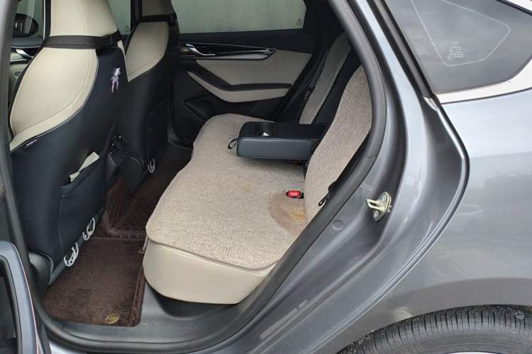 Used BYD Qin PLUS 2021 EV 600KM Flagship Model Left Rear Seat