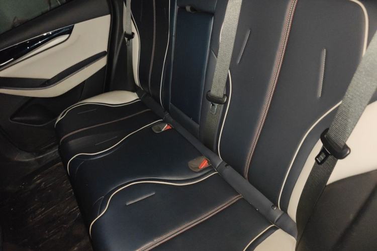 Used BYD Qin PLUS 2021 DM-i 120KM Prestige Model Left Rear Seat