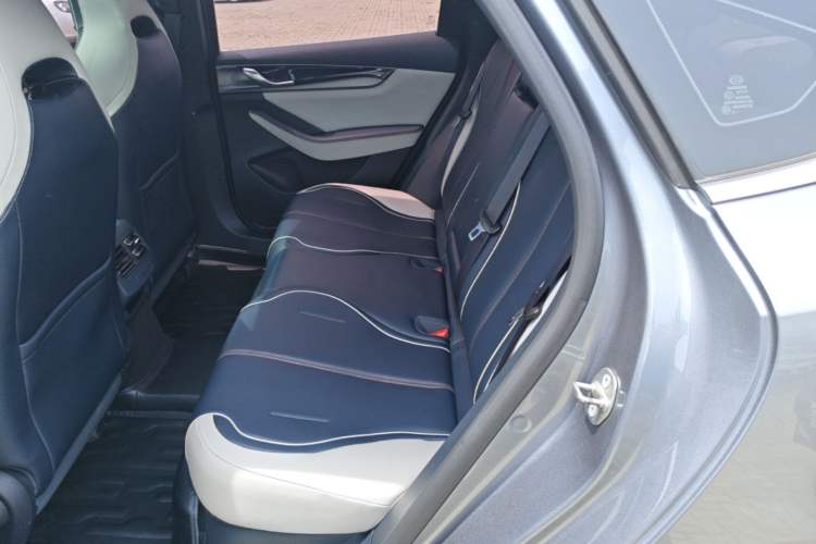 Used BYD Qin PLUS 2021 DM-i 120KM Prestige Model Left Rear Seat