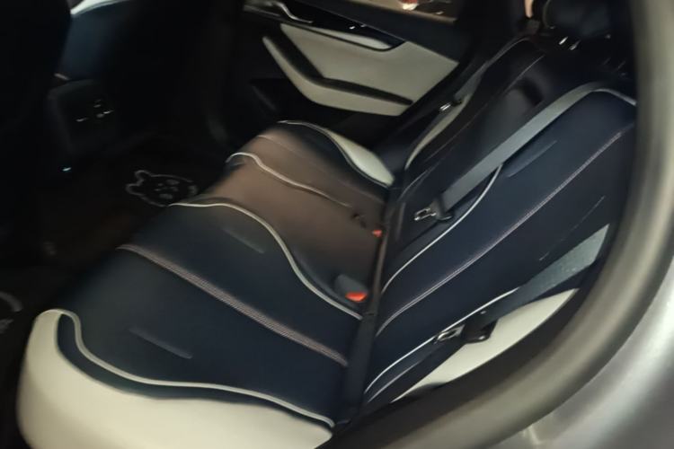 Used BYD Qin PLUS 2021 DM-i 55KM Flagship Model Left Rear Seat