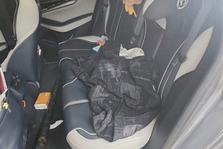 Used BYD Qin PLUS 2021 DM-i 120KM Prestige Model Left Rear Seat