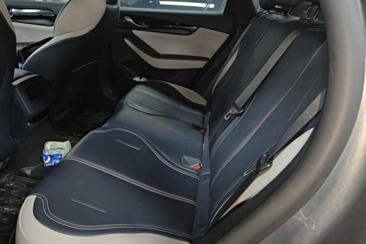 Used BYD Qin PLUS 2021 DM-i 55KM Prestige Model Left Rear Seat