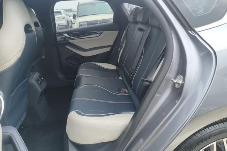 Used BYD Qin PLUS 2021 EV 500KM Luxury Model Left Rear Seat