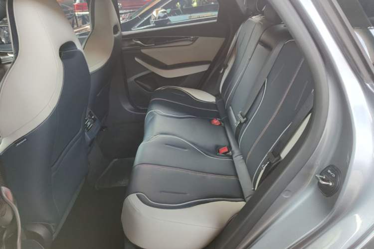 Used BYD Qin PLUS 2021 EV 500KM Premium Model Left Rear Seat