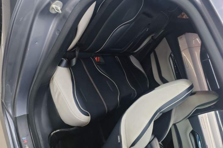 Used BYD Qin PLUS 2021 DM-i 55KM Flagship Model Left Rear Seat