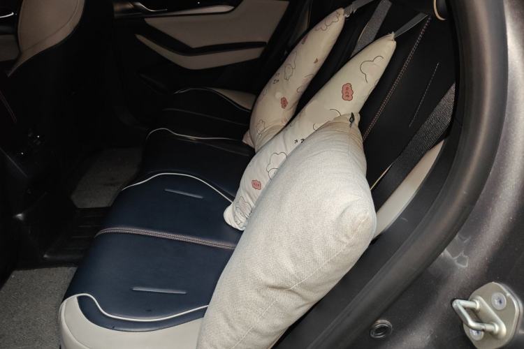 Used BYD Qin PLUS 2021 EV 500KM Premium Model Left Rear Seat