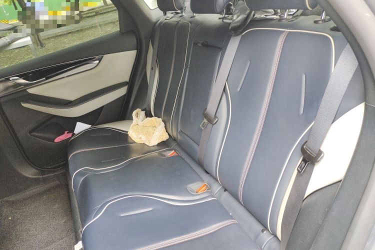 Used BYD Qin PLUS 2021 DM-i 120KM Flagship Model Left Rear Seat