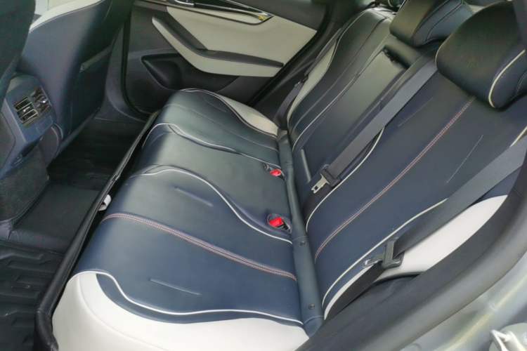 Used BYD Qin PLUS 2021 EV 500KM Luxury Model Left Rear Seat