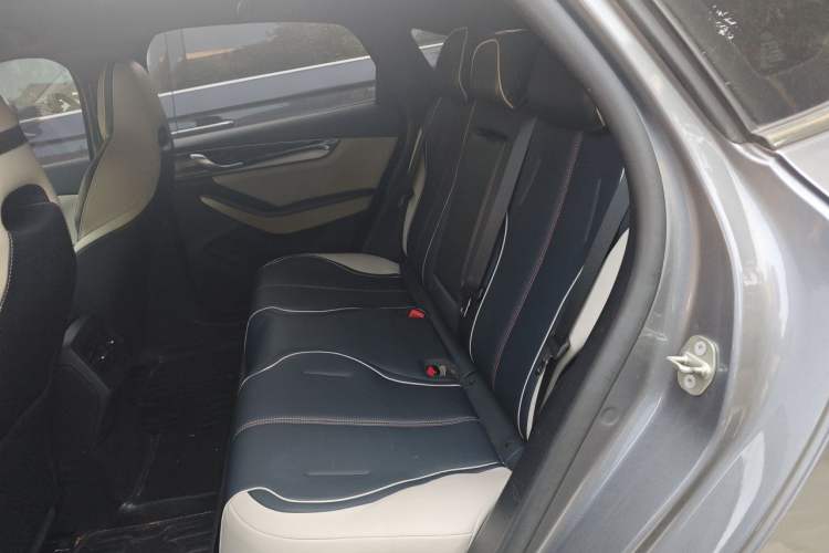 Used BYD Qin PLUS 2021 EV 500KM Luxury Model Left Rear Seat