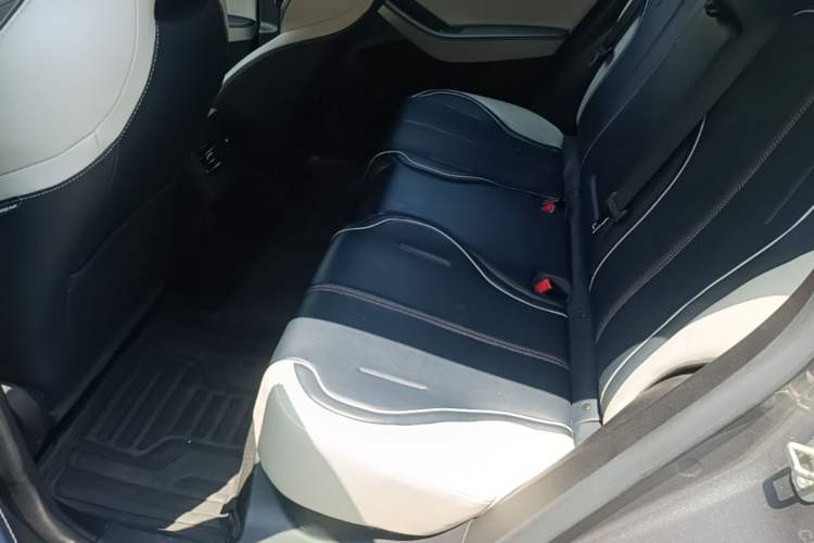 Used BYD Qin PLUS 2021 EV 500KM Luxury Model Left Rear Seat
