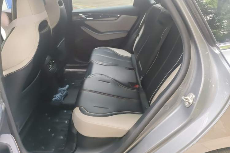Used BYD Qin PLUS 2021 DM-i 120KM Prestige Model Left Rear Seat