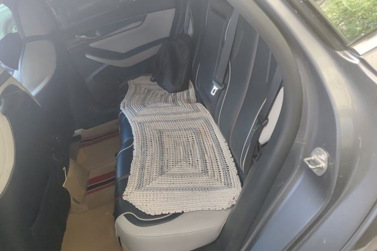 Used BYD Qin PLUS 2021 DM-i 120KM Prestige Model Left Rear Seat