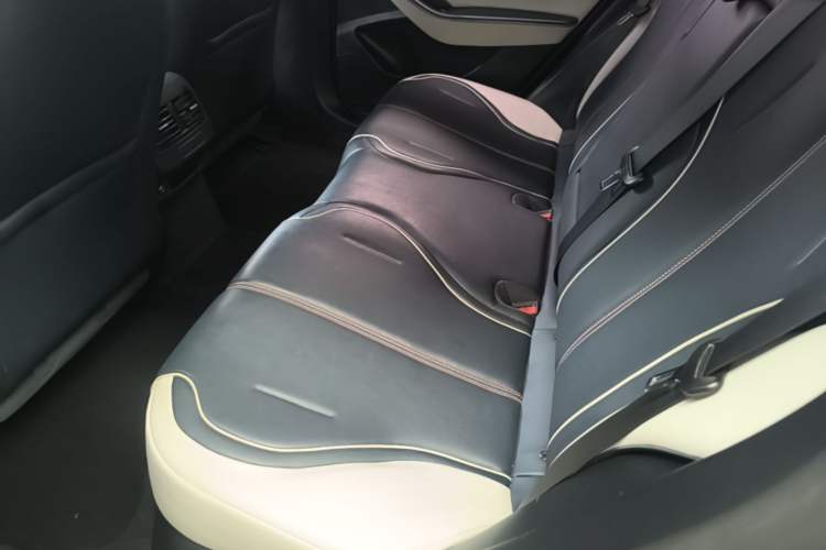 Used BYD Qin PLUS 2021 DM-i 55KM Flagship Model Left Rear Seat