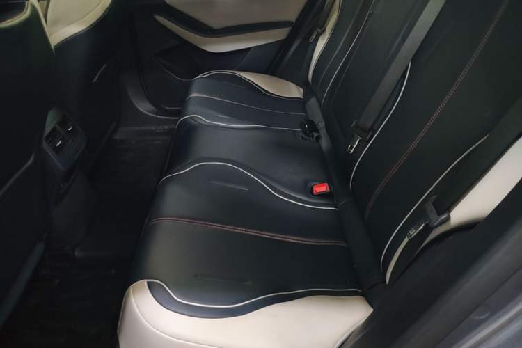 Used BYD Qin PLUS 2021 EV 500KM Luxury Model Left Rear Seat