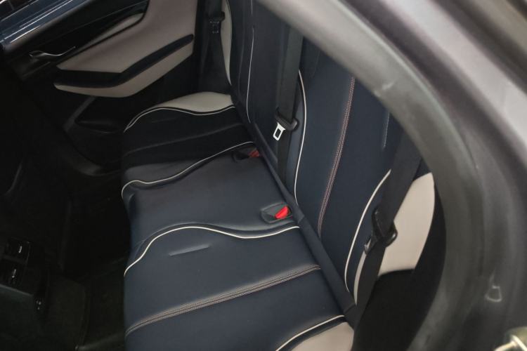 Used BYD Qin PLUS 2021 DM-i 55KM Flagship Model Left Rear Seat