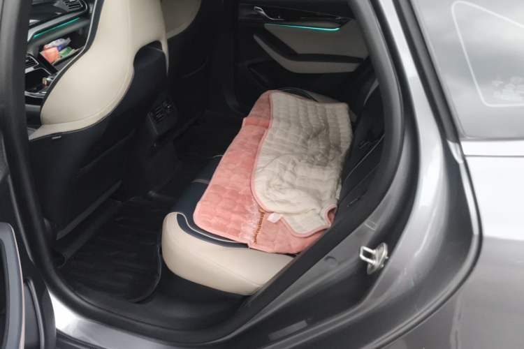 Used BYD Qin PLUS 2021 DM-i 55KM Flagship Model Left Rear Seat