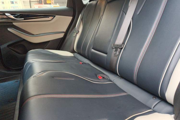 Used BYD Qin PLUS 2021 EV 500KM Premium Model Left Rear Seat