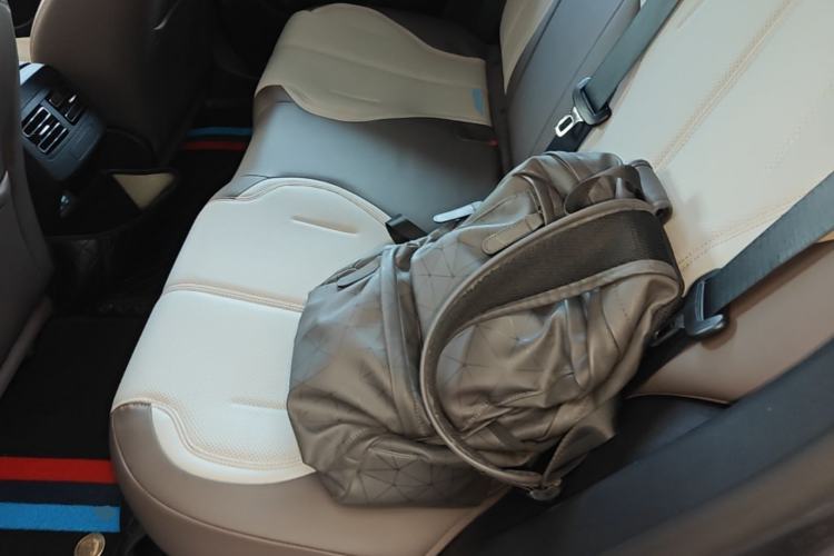 Used BYD Qin PLUS 2021 DM-i 55KM Prestige Model Left Rear Seat