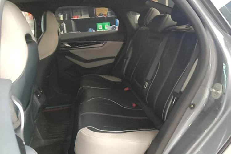 Used BYD Qin PLUS 2021 EV 500KM Luxury Model Left Rear Seat