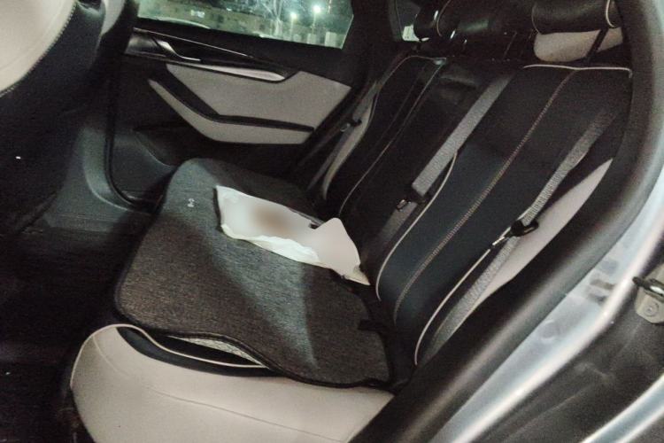 Used BYD Qin PLUS 2021 DM-i 120KM Prestige Model Left Rear Seat