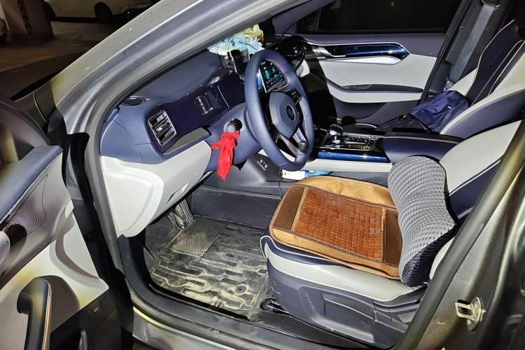 Used BYD Qin PLUS 2021 DM-i 120KM Prestige Model Left Rear Seat