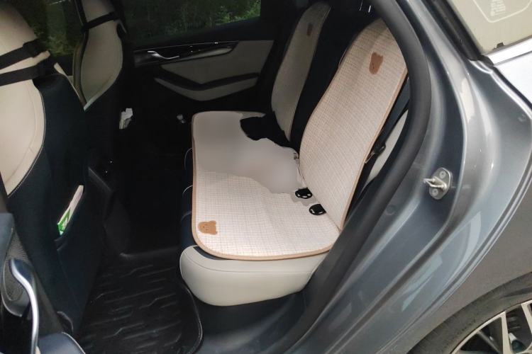 Used BYD Qin PLUS 2021 DM-i 55KM Flagship Model Left Rear Seat