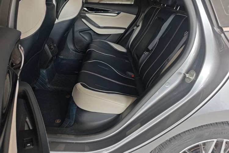 Used BYD Qin PLUS 2021 DM-i 55KM Flagship Model Left Rear Seat