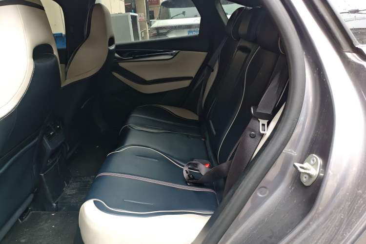 Used BYD Qin PLUS 2021 DM-i 120KM Flagship Model Left Rear Seat