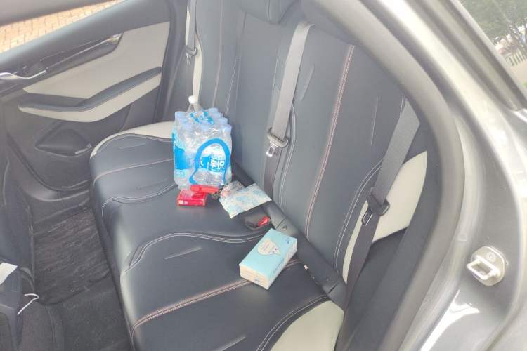 Used BYD Qin PLUS 2021 DM-i 55KM Prestige Model Left Rear Seat
