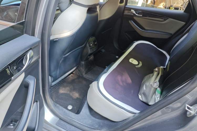 Used BYD Qin PLUS 2021 EV 500KM Luxury Model Left Rear Seat