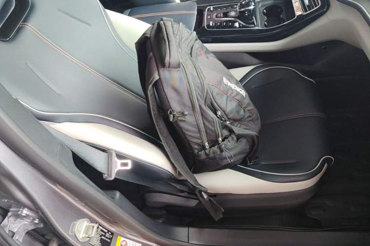 Used BYD Qin PLUS 2021 DM-i 55KM Flagship Model Right Front Seat
