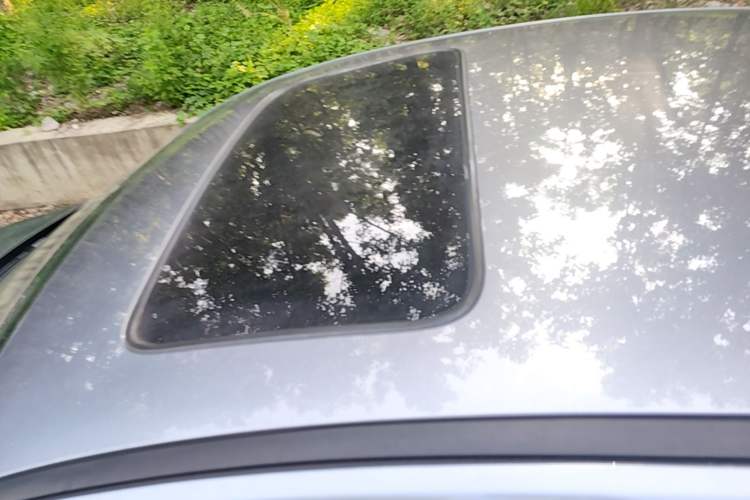 Used BYD Qin PLUS 2021 DM-i 55KM Flagship Model Roof