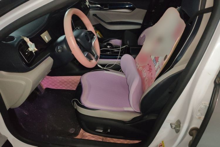Used BYD Qin PLUS 2021 EV 500KM Luxury Model Left Front Seat