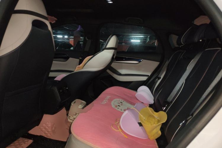 Used BYD Qin PLUS 2021 EV 500KM Luxury Model Left Rear Seat