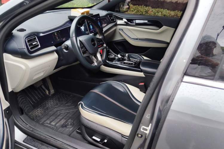 Used BYD Qin PLUS 2021 EV 500KM Luxury Model Left Front Seat