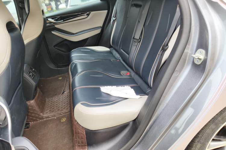 Used BYD Qin PLUS 2021 DM-i 55KM Flagship Model Left Rear Seat