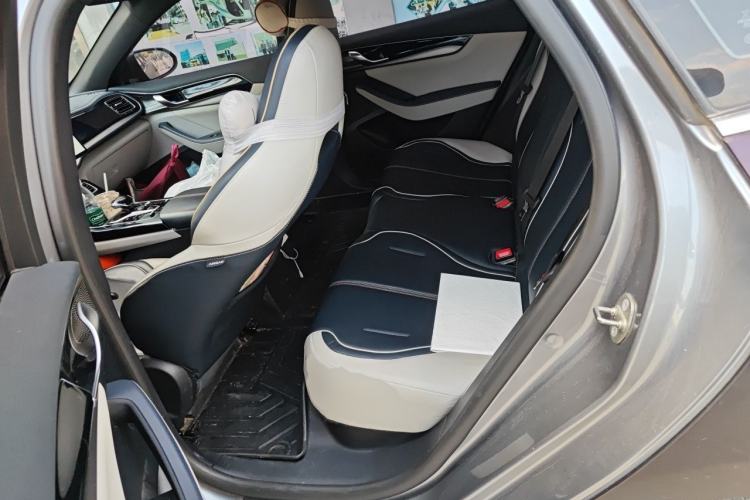 Used BYD Qin PLUS 2021 EV 400KM Luxury Model Left Rear Seat