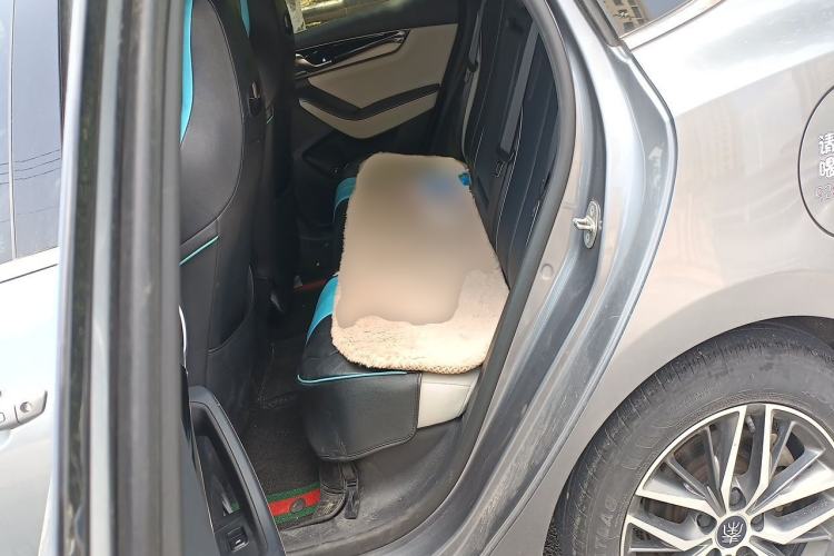 Used BYD Qin PLUS 2021 DM-i 55KM Flagship Model Left Rear Seat