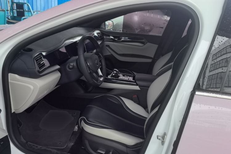 Used BYD Qin PLUS 2021 DM-i 55KM Flagship Model Left Front Seat
