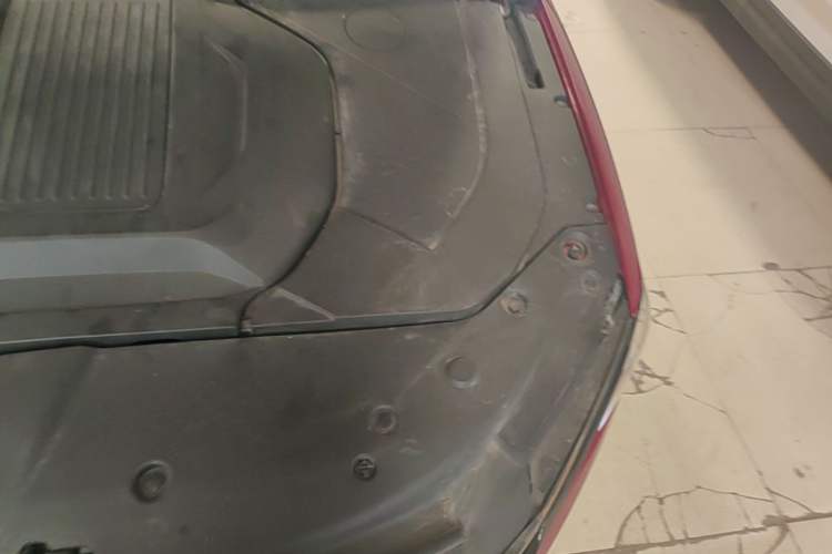 Used BYD Qin PLUS 2021 EV 500KM Luxury Model Engine Bay Left