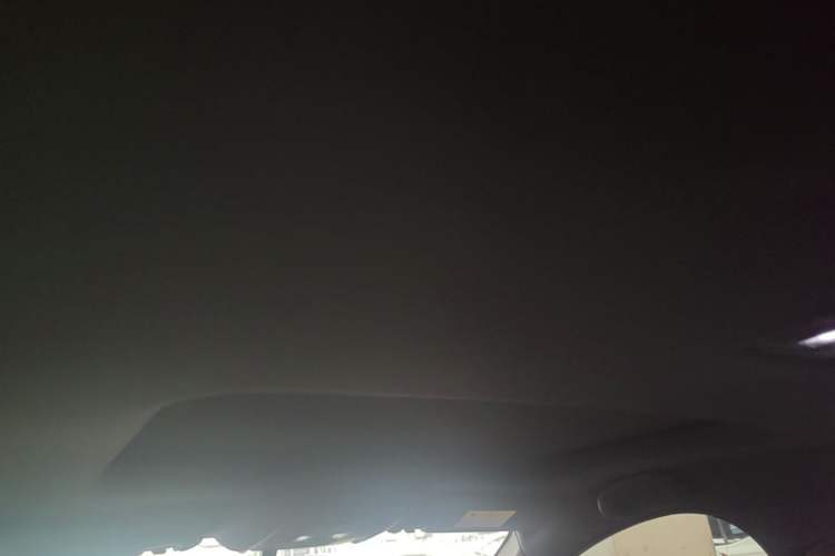 Used BYD Qin PLUS 2021 EV 500KM Luxury Model Headliner