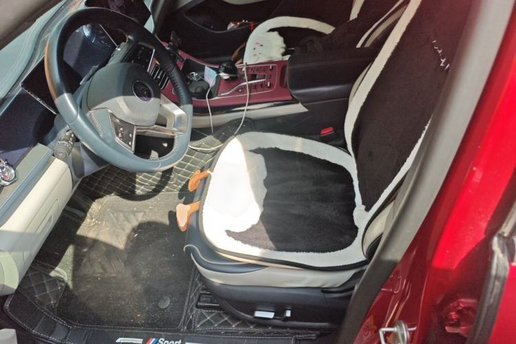 Used BYD Qin PLUS 2021 DM-i 55KM Flagship Model Left Front Seat